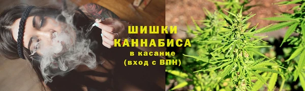 сатива Медногорск