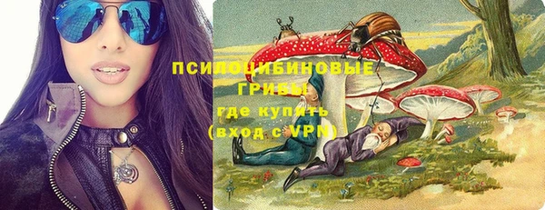 сатива Медногорск