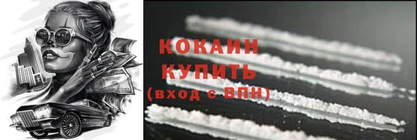 шишки Медвежьегорск
