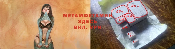 шишки Медвежьегорск