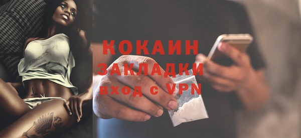 шишки Медвежьегорск