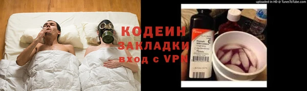 шишки Медвежьегорск