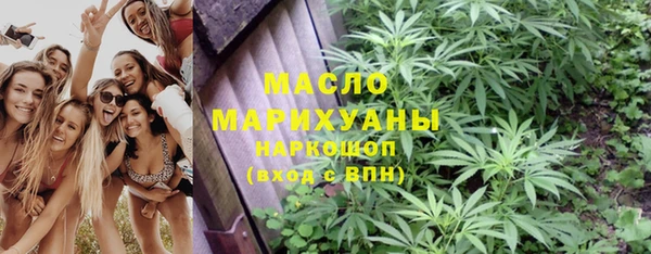 шишки Медвежьегорск