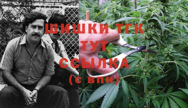 кокс Мегион