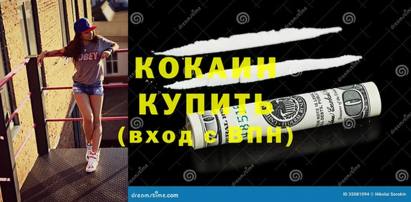 шишки Медвежьегорск