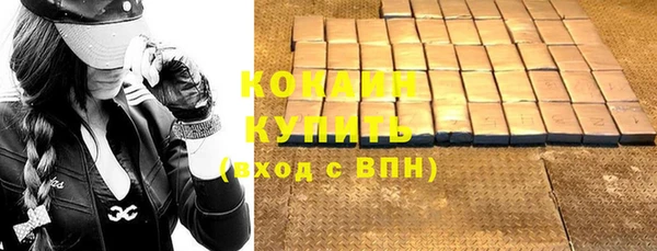 шишки Медвежьегорск