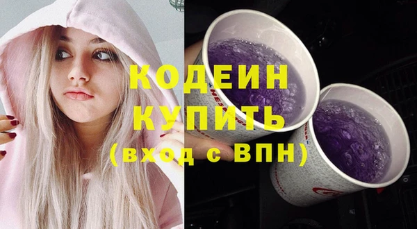шишки Медвежьегорск