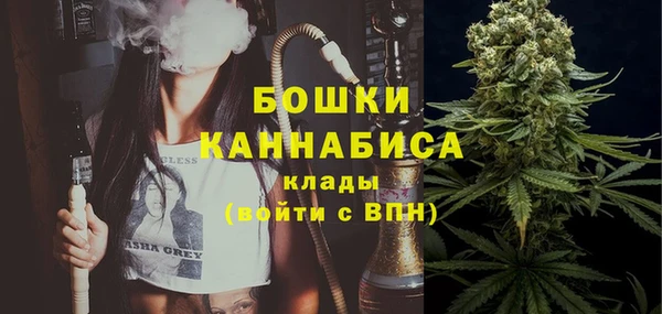 сатива Медногорск