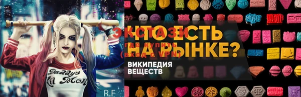 шишки Медвежьегорск