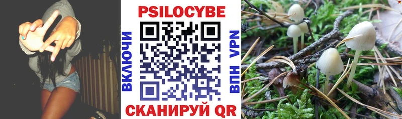 Псилоцибиновые грибы Psilocybine cubensis Каменногорск